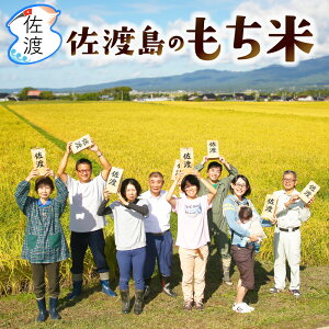 yVāzߘa7NY nY˂10kgi//ājV nYnYn   邱 Ԕ ͂ Gςp ݂ Mtgy퉷zzySꗥ