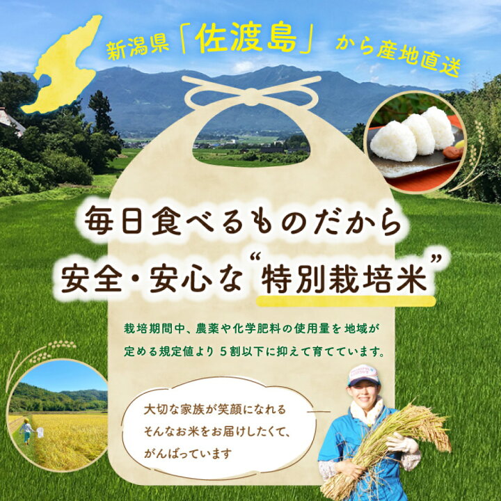 楽天市場】令和7年 佐渡産 コシヒカリ 朱鷺と暮らす郷 特別栽培米 玄米 