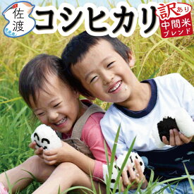 ［数量限定 赤字セール］［通常￥4.790→3,980！］ 【 訳あり 】令和5年産 佐渡産コシヒカリ 米 10kg（白米）中間米コシヒカリブレンド特別栽培米 農薬・化学肥料5割減 佐渡 新潟 コシヒカリ 自宅用 【普通便で発送】【全国一律送料無料(沖縄県除く)】