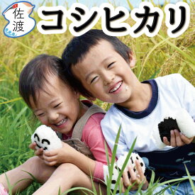 令和5年産 佐渡産コシヒカリ25kg（白米/玄米/無洗米/7分づき）特別栽培米 農薬・化学肥料5割減お米 米 主食 誕生日 ギフト 御歳暮 御中元新潟 佐渡【普通便(常温)発送】【全国一律送料無料（沖縄県を除く）】