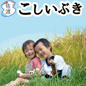 【お買い物マラソン期間｜￥6,200→￥5,640】佐渡産こしいぶき 5kg 令和7年産 （白米/玄米/無洗米/7分づき） 慣行栽培 新潟県 あっさり カレーやチャーハンに合うお米 ギフト 御中元 御歳暮 【普通便で発送】 【全国一律送料無料(沖縄県除く)】
