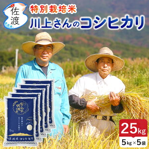 yVāzߘa7NY nYRVqJ 25kgi///7Âj コ̃v~A ʍ͔| _Ew엿5 V j  a yʕ(퉷)Ŕz yS