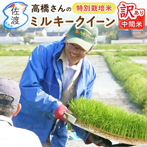 y󂠂zyVāzߘa7NY nY~L[NC[ ԕ 10kgiāj VY ``AsJsJŊÖ̂lCĎp ƒp 󂠂   t[hX팸yʕ(