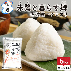 yVāzߘa7NY Fؕ nYRVqJ 5kg (//Â/) ƕ炷 E_ƈY ʍ͔| _򉻊w엿5 ySꗥ(ꌧ)z r[