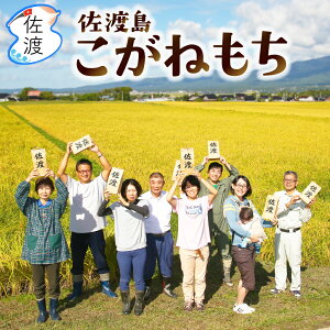 yVāzߘa7NY nY˂2kgi//ājV nYn Yn   邱 Ԕ ͂ G p ݂ Mtgy퉷zz