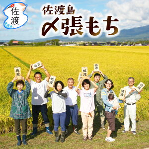 ߘa6NY nY߂͂Y 5kgi//ājV nYn  邱 Ԕ ͂ Gςp ݂ Mtgy퉷zzySꗥ(ꌧ