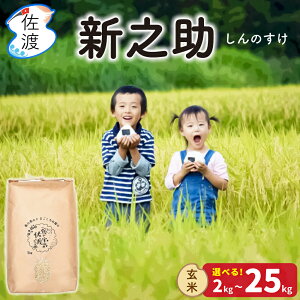 �ߘa7�N ���n�Y �V�V�� ���s�͔| ���� 2kg 5kg 10kg 15kg 20kg 25kg �M�t�g ���� ���������i���ꌧ�������j