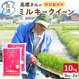 佐渡産ミルキークイーン10kg 特別栽培米 令和7年産 高橋農園 / モチモチ、ピカピカで甘味のある人気米 / 白米・無洗米・七分・玄米 / 精米したて / 農薬化学肥料5割減【送料無料（沖縄県を除く）】