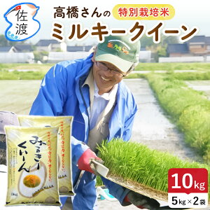 yVāzߘa7NY nY~L[NC[ 10kgi///7Âj ̂ ʍ͔| _򉻊w엿5 ``AsJsJŊÖ̂lC ySꗥ