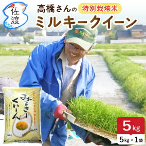 yVāzߘa7NY nY~L[NC[ 5kgi///7Âj ̂ ʍ͔| _򉻊w엿5 ``AsJsJŊÖ̂lC ySꗥ