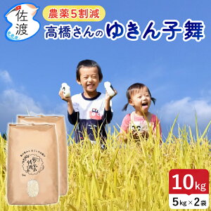 yVāzߘa7NY nY 䂫q 10kg(///7) ፑňV̕i  J[ u _5 Yҁ^ yiꌧjzyʕ(퉷)z