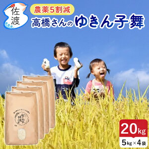 yVāzߘa7NY nY 䂫q 20kg(///7) ፑňV̕i  J[ u _5 Yҁ^ yiꌧjzyʕ(퉷)z