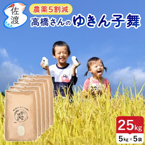 yVāzߘa7NY nY 䂫q 25kg(///7) ፑňV̕i  J[ u _5 Yҁ^ ubNtCf[yiꌧjzy