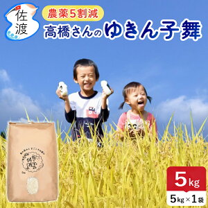 yVāzߘa7NY nY 䂫q 5kg(///7) ፑňV̕i  J[ u _5 Yҁ^ yiꌧjzyʕ(퉷)z