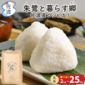 【スーパーセール｜5kg 3,999円】令和7年 佐渡産 コシヒカリ 朱鷺と暮らす郷 特別栽培米 玄米 2kg 5kg 10kg 15kg 20kg 25kg 玄米 農薬・化学肥料5割減減 ギフト 贈答 送料無料（沖縄県を除く）