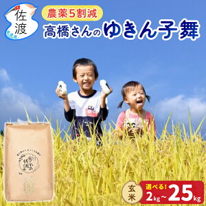 �ߘa7�N ���n�Y �䂫��q�� ���s�͔| �����_�� ���� 2kg 5kg 10kg 15kg 20kg 25kg �_��5���� �M�t�g ���� ���������i���ꌧ�������j
