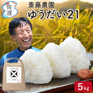 yVāznY 䂤21 / 5kg i///7Âj VY y Sꗥ(ꌧ)z