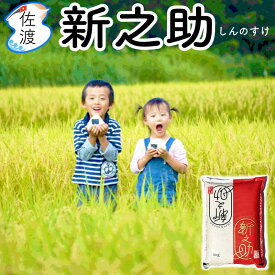 佐渡産 新之助 令和7年産 白米・無洗米・7分づき 2kg 5kg 10kg 15kg 20kg 25kg 慣行栽培 精米したて もっちり しっかり 冷めても美味しい お弁当 新潟県 ブランド米 ギフト 贈答 御中元 御歳暮 常温発送 送料無料（沖縄県を除く）