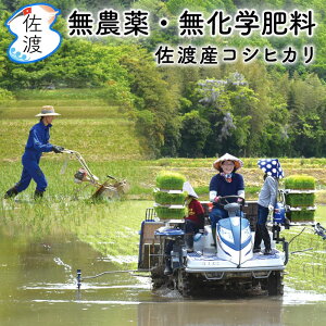 yVāzߘa7NYy_Ew엿z nYRVqJ 5kgi///7Â) R[ňĂʍ͔| V n ʔ   Mtg  ʕւŔ ySꗥ