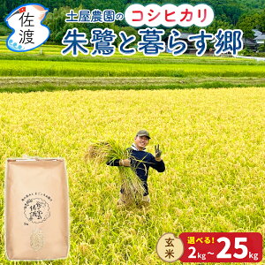 �ߘa7�N ���n�Y �R�V�q�J�� ���ƕ�炷�� ���ʍ͔|�� �y���_�� ���� 2kg 5kg 10kg 15kg 20kg 25kg �_��E���w�엿5�������M�t�g ���� ���������i���ꌧ�������j