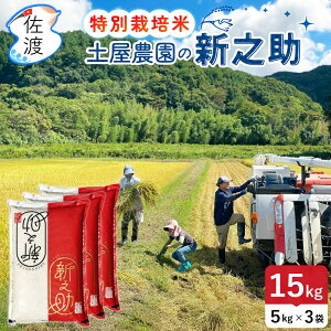 yVāzߘa7NY y_ nY VV 15kgi///7ÂjR[̂ ʍ͔|   ߂Ă V uh Mtg ̓ yʕւŔ