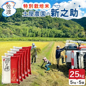 yVāzߘa7NY y_ nY VV 25kgi///7ÂjR[̂ ʍ͔|   ߂Ă V uh Mtg ̓ yʕւŔ