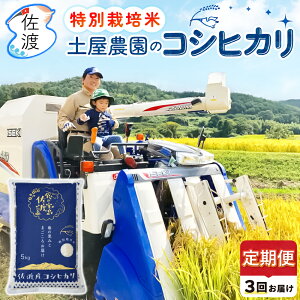 yVāzy S3z nYRVqJ 5kg /10kgi//ājߘa7NY ʍ͔| _Ew엿5 y_