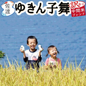 y󂠂zyVāznY䂫q ԕā@10kgiājߘa7NY s͔|yʕւŔzySꗥiꌧjz