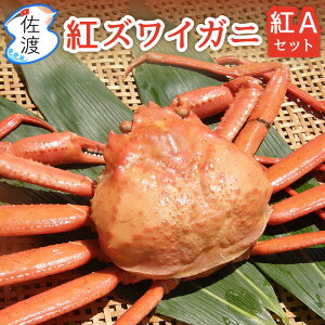y\znYgYCKj gAZbg 2kg(5C)`6kg(15C) 1C400g`500g {C  g킢 Jj I  Mtg a Ε y(ꕔn)zyN[①ցE