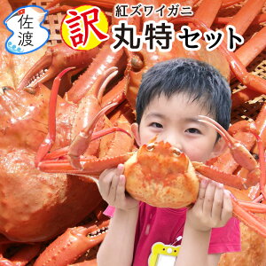 y󂠂z{Cς݁I gYCKj ۓZbg 1.5kg`6kg(`TCY) nY V t  VN {C Jj p lCi  ƒp J  Mtg y