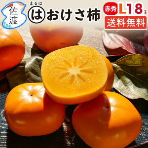 yzy܂́znY` 킵`ԏGL18 3.8kg n Yi H΃uh ܂ ` n` / j` Ȃ r^~LxŃW[V[  Mtg t[c 