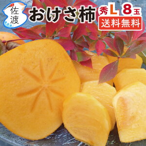 yznY` 킵`iaρjGLTCY 8 1.4Kg n̓Yi n`/j` Ȃ r^~LxŃW[V[  Mtg t[c  JL y(