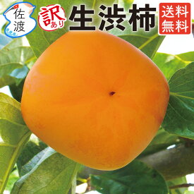 【豊作価格で今がお得！！】【訳あり】 佐渡産 生渋柿 4.5kg/10kg/20kg S～2Lサイズ バラ入 あんぽ柿 干し柿など加工用八珍柿(刀根早生/平核無柿)種なし 枝なし生柿 果物 フルーツ かき ご自宅用【普通便で発送】【送料無料(一部地域を除く)】