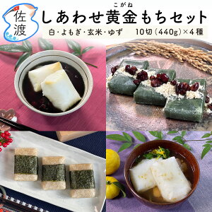 nY 킹Zbg 4Hה e10(440g) EāE䂸E nY˂100%gp Y ۑsgp Y yʕցzy(ꌧ)z