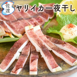 CJ銱 1 NH 핽X  ܂    ̓ ̓ Mtg 䒆 yN[ⓀւŔz