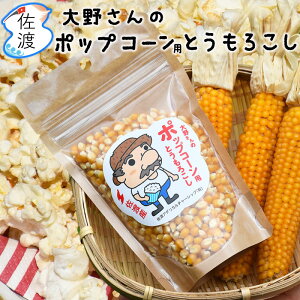 nY |bvR[̎ 1(180g) 720~ ^ 5(900g) 3,500~ Y Ƃ낱̎ Y  ȒP   ۑ |bvR[ ̓ ̓ 䒆 Ε y}փRpNg