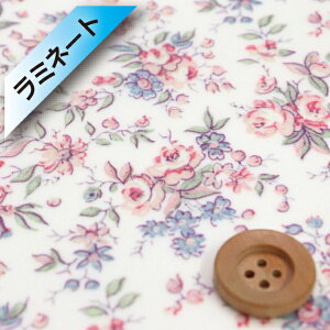 yThE蕿zoeBEt@ubNX ^i[y~l[gHziLove Posies uE|[W[YjI[h[YyDC33982L140EJ24Az