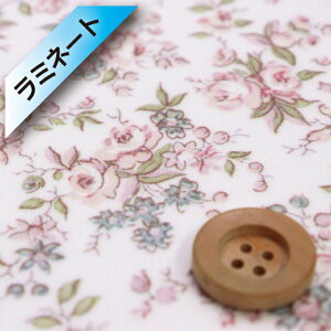 yThE蕿zoeBEt@ubNX ^i[y~l[gHziLove Posies uE|[W[YjsNA[hyDC33982L140EJ24Bz