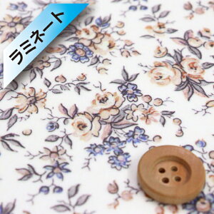 yThE蕿zoeBEt@ubNX ^i[y~l[gHziLove Posies uE|[W[YjIW|vyDC33982L140EJ24Cz