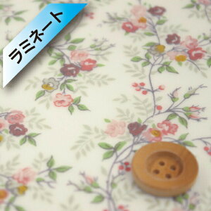 yThE蕜FzoeBEt@ubNX ^i[y~l[gHz(Anana uE}X^[hj Aiiy3636105E96DTz