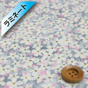 yThEIWiJ[zoeBEt@ubNX ^i[y~l[gHziPetal Wish ݁jy^EEBbVy20-36301105EJ21Az