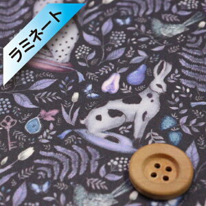 yThEIWiJ[zoeBEt@ubNX ^i[y~l[gHziCatherine Rowe vm[jLTEEy20-36302200EJ23Az