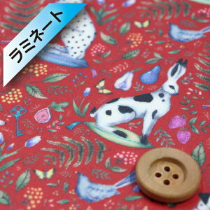 yThEIWiJ[zoeBEt@ubNX ^i[y~l[gHziCatherine Rowe [WjLTEEy20-36302200EJ23Cz