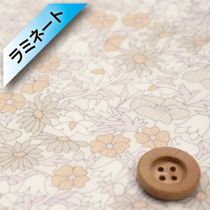 yThEIWiJ[zoeBEt@ubNX ^i[y~l[gHziPoppyDaisy N[I[J[j|s[fCW[y02-3632104EJ21Bz