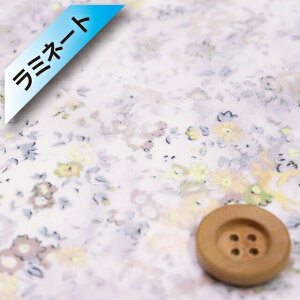 yThEIWiJ[zoeBEt@ubNX ^i[y~l[gHziUmbria wCYjAuAy12-3632186EJ22AzV聜