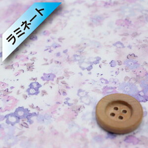 yThEIWiJ[zoeBEt@ubNX ^i[y~l[gHziUmbria AuAj~XeBp[vy12-3632186EJ22Bz