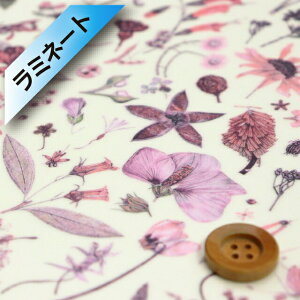 yThE̔FzoeBEt@ubNX ^i[y~l[gHziFloral Eve sNjt[ECy13-3633189 EJ20Cz