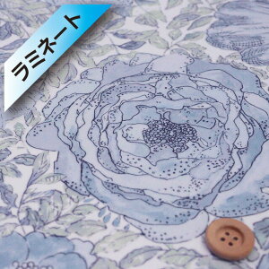 yThEIWiJ[zoeBvg ^i[y~l[gHziRose Xanthe [jOu[j[YEUW[y15-3635180EJ22Cz