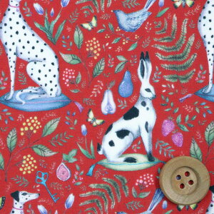 yThEIWiJ[zoeBEt@ubNX ^i[iCatherine Rowe [WjLTEEy20-36302200EJ23Cz