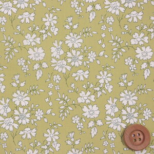 yThE蕜FzoeBEt@ubNX ^i[iCapel JyjCgO[y3333055ESEz